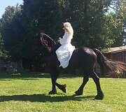 Vaida Genytė
