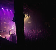 &bdquo;Glass Animals&ldquo; koncertas &bdquo;Lofte&ldquo;