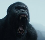 Filmas &bdquo;Tarzanas: džiunglių legenda&ldquo;