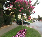 Linos ir Arvydo Anu&scaron;auskų kelionės akimirka