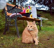 Jolitos Kulie&scaron;ytės gimtadienis