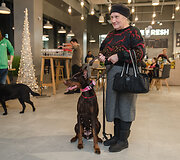 &bdquo;Me & My Dog&ldquo; renginys