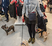 &bdquo;Me & My Dog&ldquo; renginys