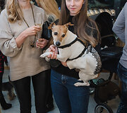 &bdquo;Me & My Dog&ldquo; renginys