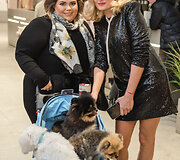 &bdquo;Me & My Dog&ldquo; renginys