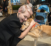 &bdquo;Me & My Dog&ldquo; renginys