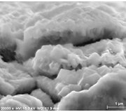 LaNbO4 plonų sluoksnių pavir&scaron;iaus mikrostruktūra po atkaitinimo 1100 laipsnių pagal Celsijų temperatūroje