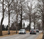Siauri, tankiai medžiais apsodinti pamario keliai neatleidžia nė menkiausios vairuotojo klaidos
