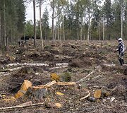 &bdquo;Lietuvos enduro klubo&ldquo; organizuojamos varžybos