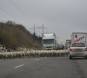 Kelionės Gruzijoje akimirka