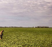 Dakaro ralio 12-as greičio ruožas