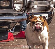 &bdquo;Memel motor fest 2017&ldquo;