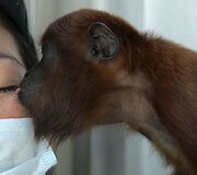 Mieliausi zoologijos sodų mažyliai
