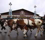 Nuotraukos pavadinimas