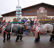 Nuotraukos pavadinimas