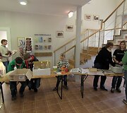 Nuotraukos pavadinimas