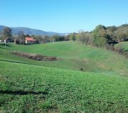 Serbija Dovilės Filmanavičiūtės akimis
