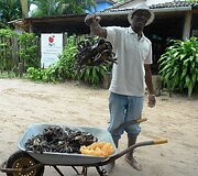 Anatolijaus Chudobos ir Agnės Paliokaitės atostogos Brazilijoje