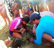 Anatolijaus Chudobos ir Agnės Paliokaitės atostogos Brazilijoje