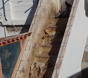 Laimos Tamulytės-Stončės kelionės akimirka