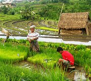 Anatolijaus Chudobos ir Agnės Paliokaitės atostogos Indonezijoje