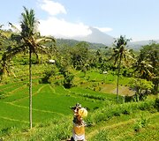 Anatolijaus Chudobos ir Agnės Paliokaitės atostogos Indonezijoje