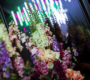 Vakarėlio akimirka