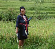 Vietnamas