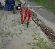 Kelionės po Moldovą akimirka