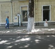Kelionės po Moldovą akimirka