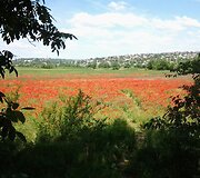 Kelionės po Moldovą akimirka