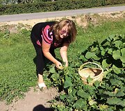 Vilija Blinkevičiūtė