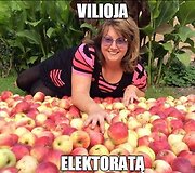 Internautai i&scaron;juokė Viliją Blinkevičiūtę