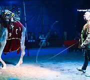 Cirko &bdquo;Marcel ir Odeta&ldquo; pasirodymo akimirka