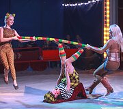Cirko &bdquo;Marcel ir Odeta&ldquo; pasirodymo akimirka
