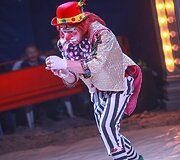 Cirko &bdquo;Marcel ir Odeta&ldquo; pasirodymo akimirka