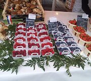 Eglijos Vaitkevičės vie&scaron;nagės Prancūzijoje akimirka