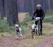 news_5bd5e353787455017a4e.jpg