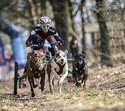 news_5bd5e353a7f22b2a84f8.jpg
