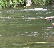 news_5d2c62dd819519b6439d.jpg