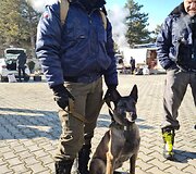 Lietuvos tarptautinės pagalbos teikimo komanda su kitų &scaron;alių gelbėtojais atlieka paie&scaron;kos ir gelbėjimo darbus Adijamano mieste Turkijoje