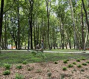 Klaipėdoje atidarytas Skulptūrų parkas