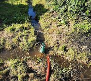 Elektrėnų ugniagesiai gelbėtojai i&scaron;gelbėjo &scaron;unį po sudėtingos operacijos