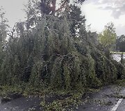 Trumpa, bet stipri audra nusiaubė Ignaliną ir jos apylinkes