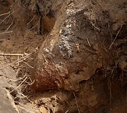 Sprogmenų radimo vietoje Vilniaus Liepkalnio gatvėje dirba kariuomenės i&scaron;minuotojai