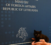 Užsienio reikalų ministerijos katinas Rangas