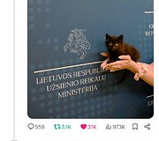 Užsienio reikalų ministerijos katinas Rangas