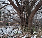 Po lėktuvo sudužimo nuolaužos ir krovinio detalės pasklido plačiai