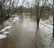 Audros padariniai Plungės rajone