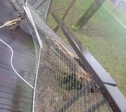 Audros padariniai Plungės rajone